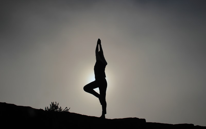 Ageing and Autonomic Nervous System