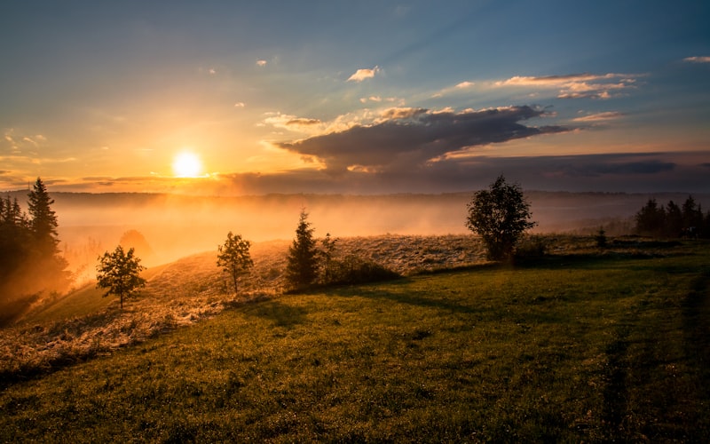 Circadian Rhythm