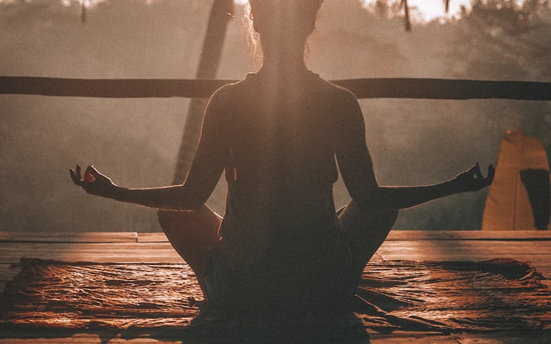 Meditation and the Brain